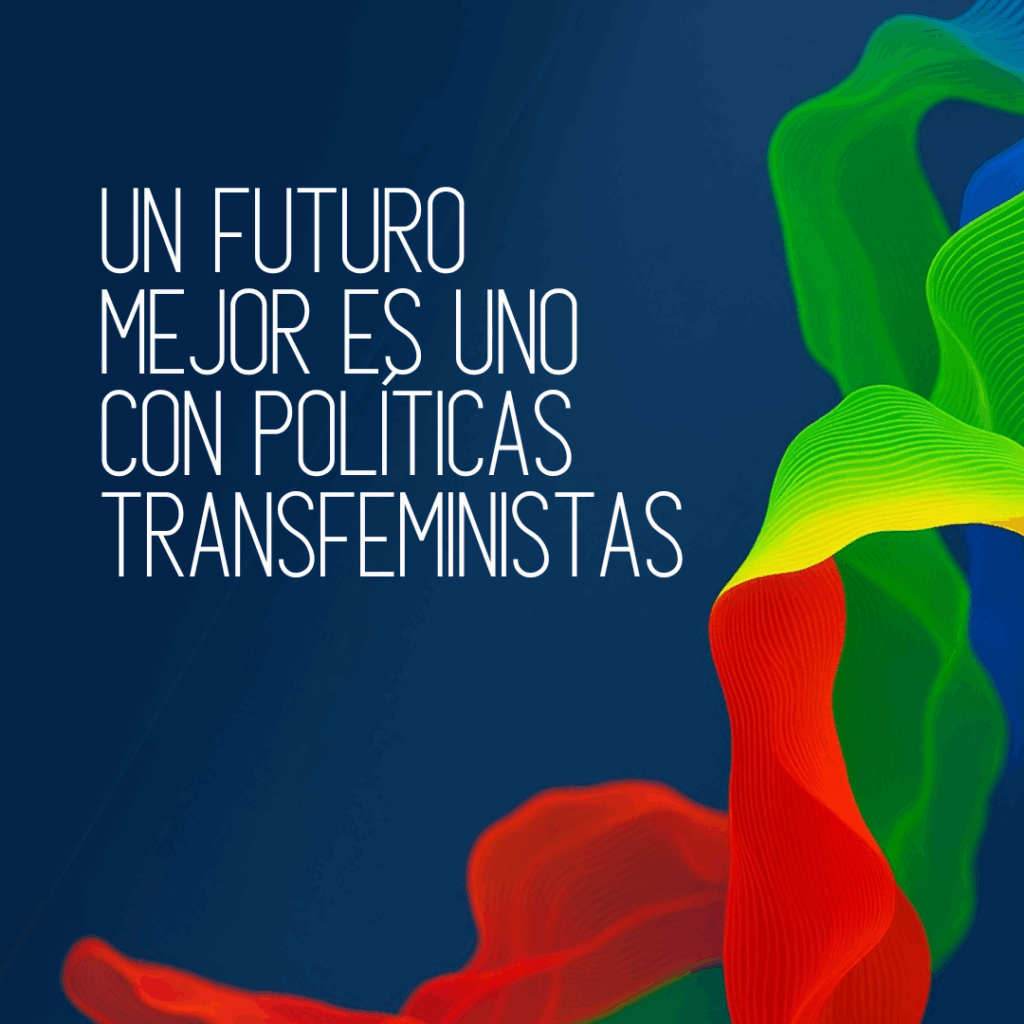 Informe sobre políticas transfeministas